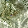coinguy2255