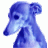 XpipedreamR