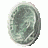 CoinNut4