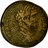 Salaethus