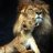 Son of Aslan