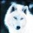 PaperDog13