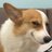 Deedee0986