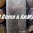 BNB Analytics