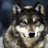The Big Bad Wolf