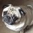 PugLife711