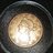 Rockie Coin Collecting