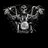 HarleyD34