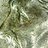 coinguy2255