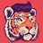 TonyTiger