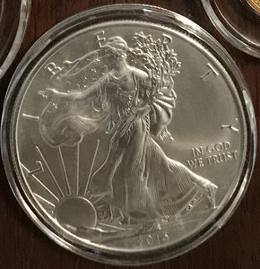 Silver Eagle 2013.jpg