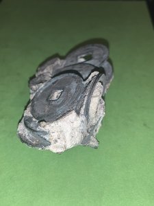 songdysnastyshipwreck4.jpg