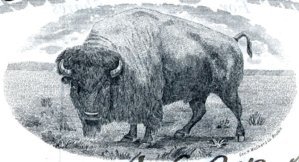 buffaloplacerminingmillingcovig.jpg