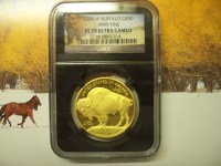 2009_PF70_Buffalo_100_4639 .jpg
