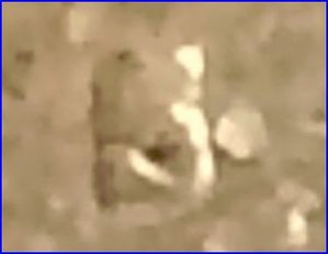 CLOSE UP.JPG