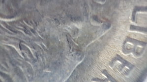 rose dime 3.jpg