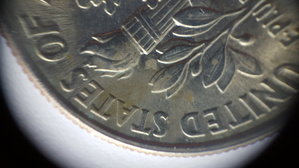 rose dime 6.jpg