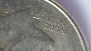 rose dime 2.jpg