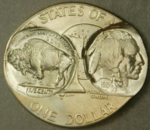 2013BuffaloDS2.jpg
