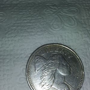 .999 troy OZ coin