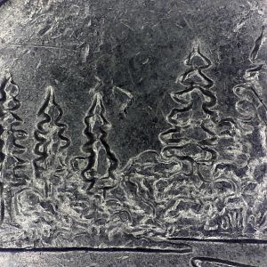 2005 P Minnesota Doubled Die Error Coin Variety.