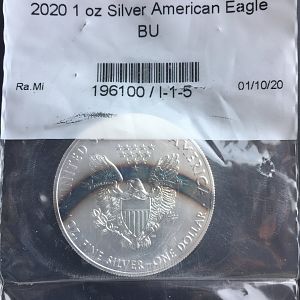 2020 American Eagle