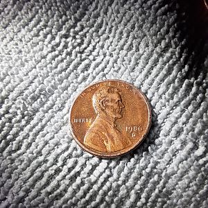 1986 d penny