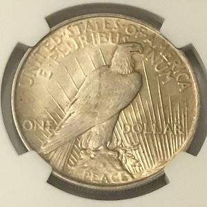 1923 U.S. Peace Dollar rev closeup