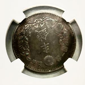 1884 (M17) Japan 1/2 sen rev closeup