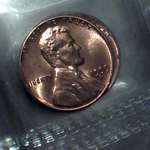 my coins