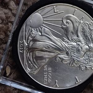 2017 proof eagle