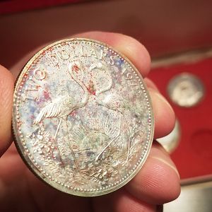 1972 Bahamas silver $2 with toning & dust