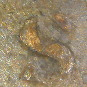 1945 S LWC