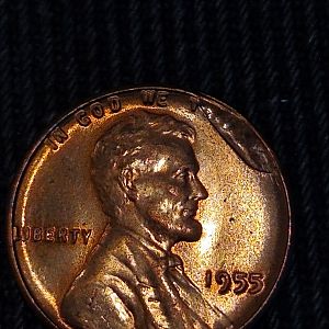 Coin