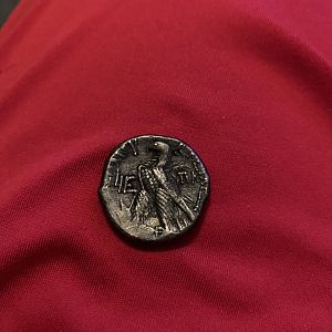 Anyone know anything about this?