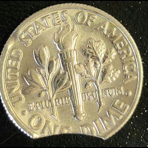 1981 P Dime