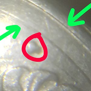 What Is This in Green?