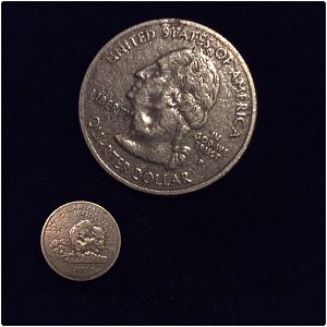 2005 P quarter error?