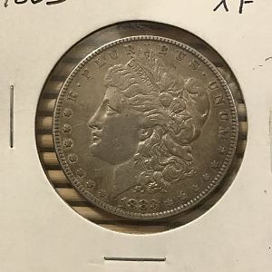Slight toned Morgan