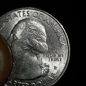 double d quarter