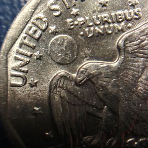 1979 p dollar