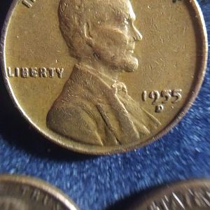 1955 d