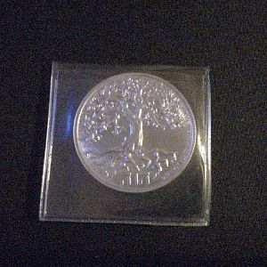 New Zeland silver tree of life