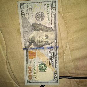 100 dollar error