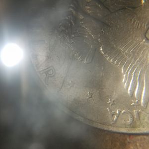 71 d
