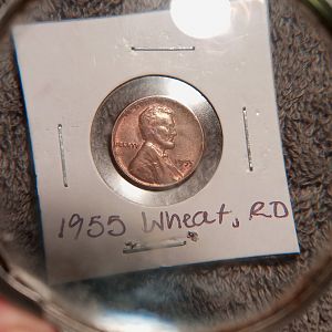1955 Wheat DDO, RD