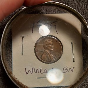 1959 Wheat BN
