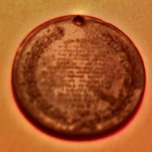 Annual Fair token