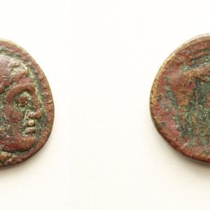 Coin 6