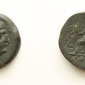 Coin 5
